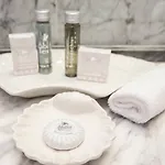 فندق President Terme 5*