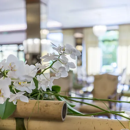 プレジデント テルメ ホテル