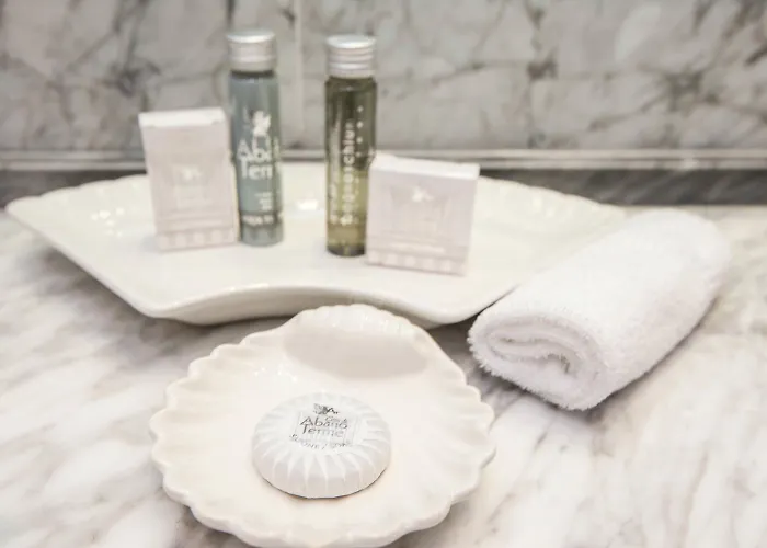 Отель President Terme 5*