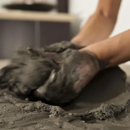 Hotel President Terme Abano Terme